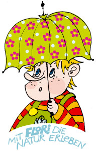 Wenn das Wetter verrückt spielt