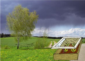 Frühbeet
