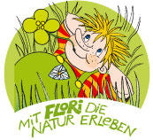 Tausend Töne GRÜN